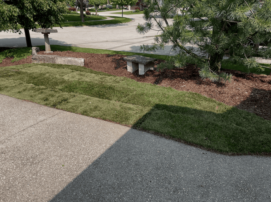 Screenshot 2025-06-15 at 3.21.17 PM